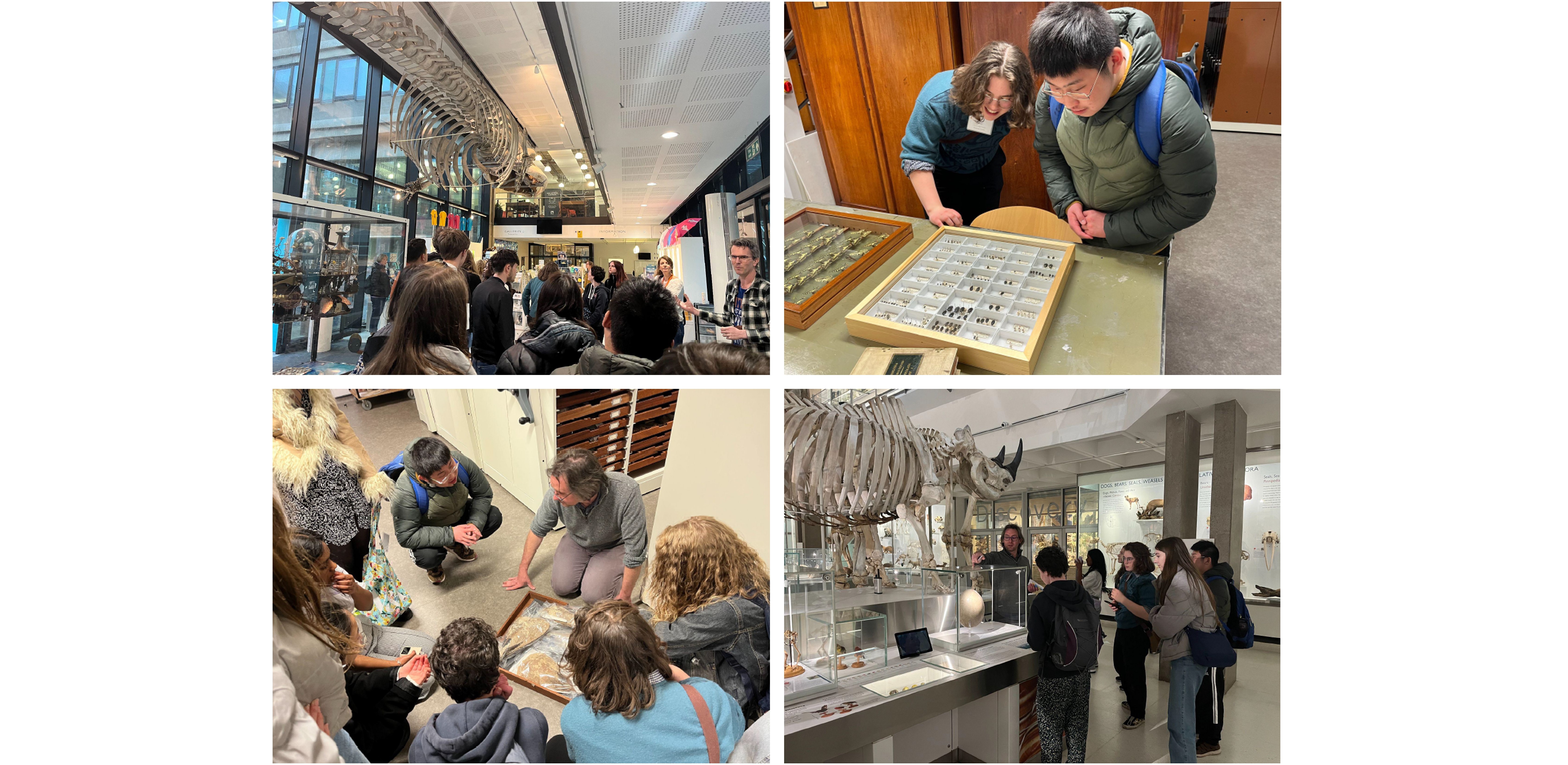 Clare College Cambridge Future Museum Voices 2023, images featured in the project's final report