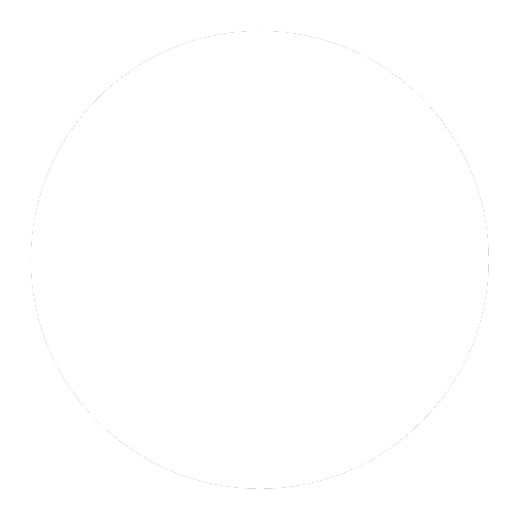 LinkedIn Logo White