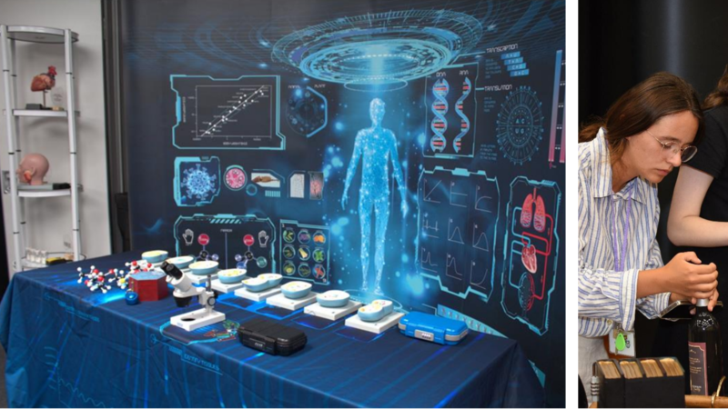 Homerton College, The Search for the Scientist's Secret, pictures form project report 2023