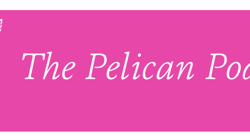 The Pelican Podcast Logo, pink banner with white text and drawing of a pelican