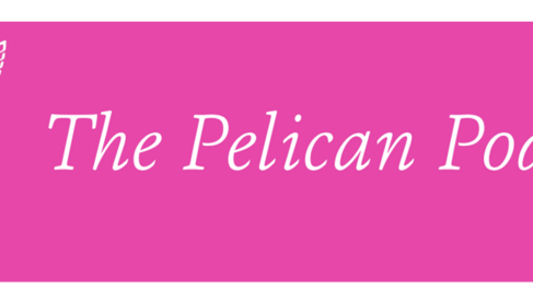 The Pelican Podcast Logo, pink banner with white text and drawing of a pelican