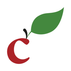 Isaac Newton Trust Apple - Colour