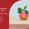 INT Annual Report 2024-2025
