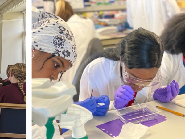 St Catharine's College Aspiring Scientists Training Programme 2022, images from project final report