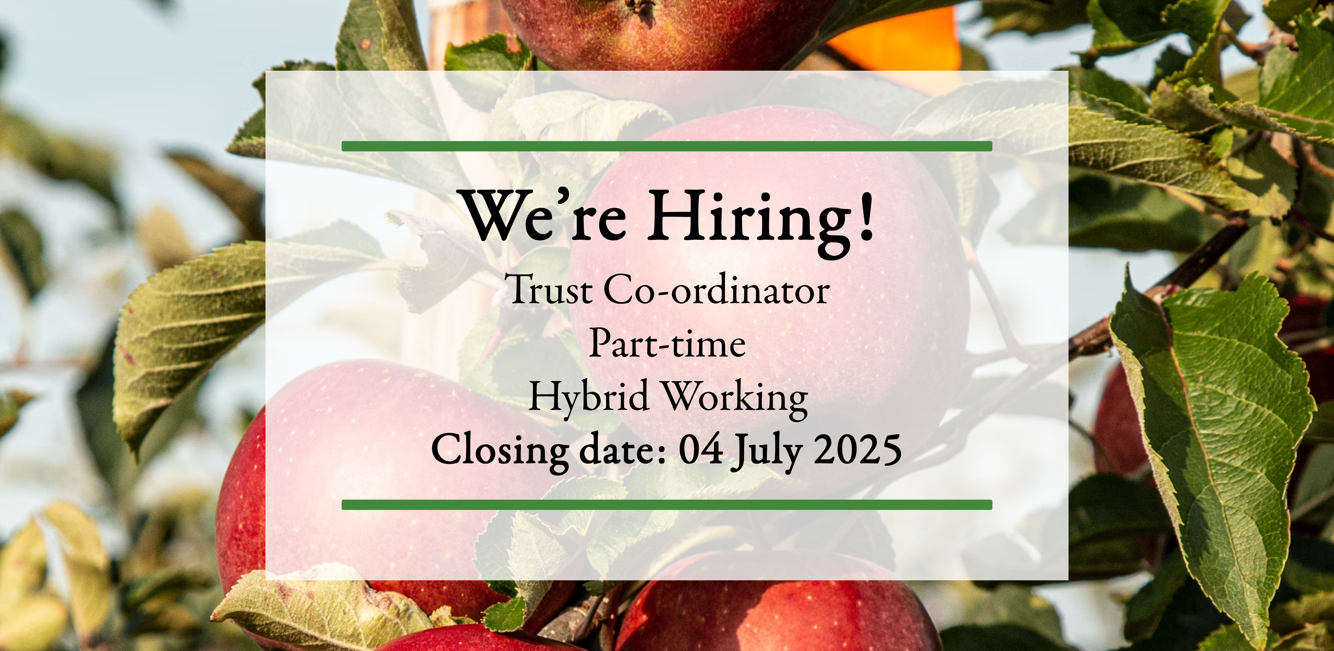 We're Hiring - Trust Co-ordinator